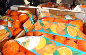 Coldiretti: a Reggio prima aranciata con 22% succo di arance calabresi
