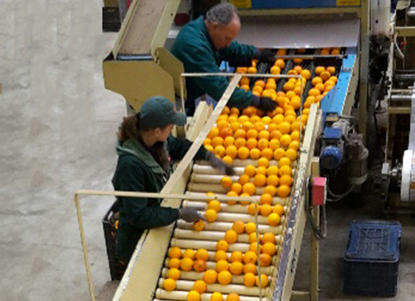 Lamezia, accordo Confapi-sindacati su detassazione premi produttività