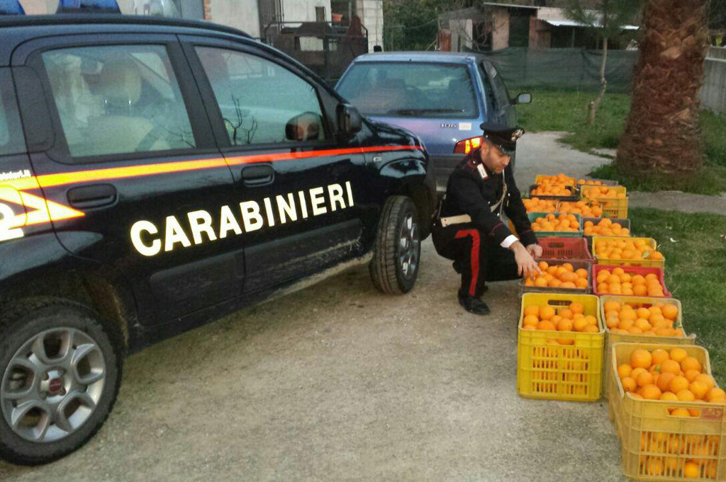 Rubano 3,5 quintali di arance, 3 arresti nel crotonese 