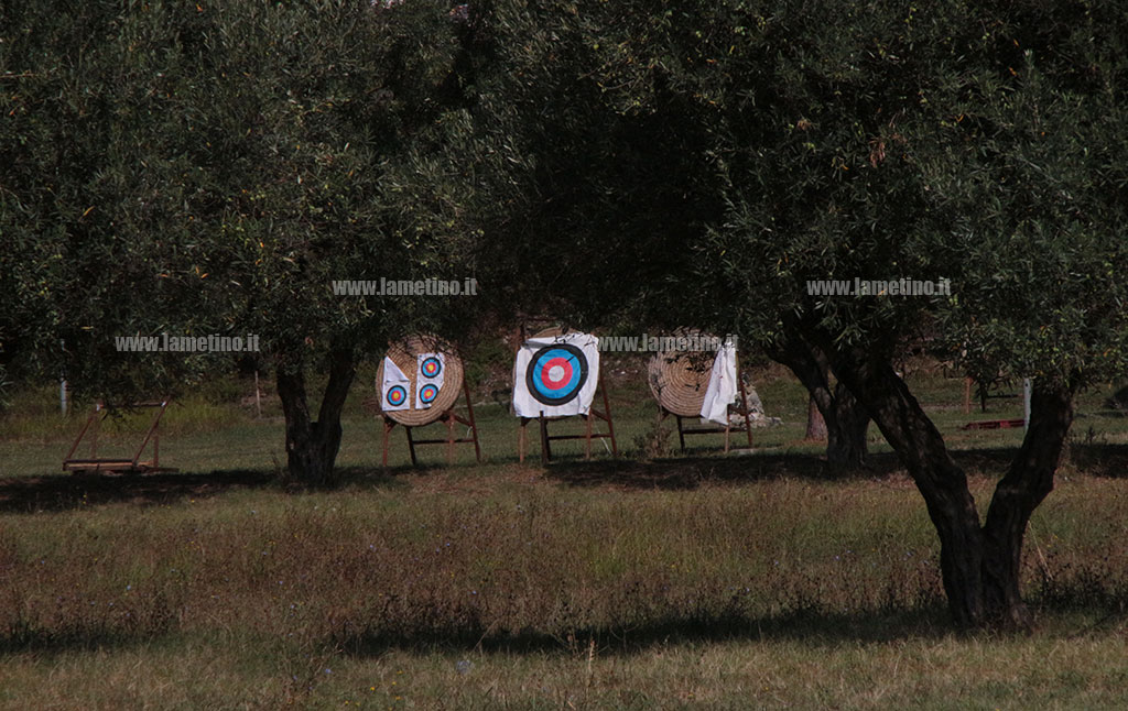 arcieri30_5636e.jpg