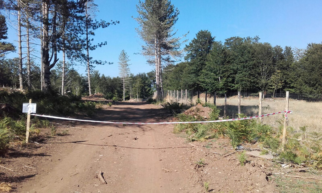 Lavori abusivi nel parco nazionale dell’Aspromonte, una denuncia