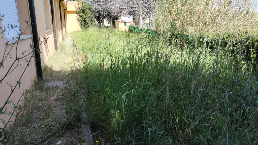 area-verde-Nicholas-Green-2_c741f_e75d2.jpg