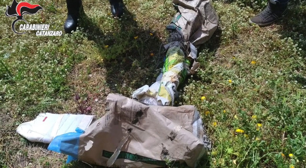 Lamezia, abbandona pacco sospetto e tenta la fuga tra le campagne: un arresto per armi e droga - VIDEO