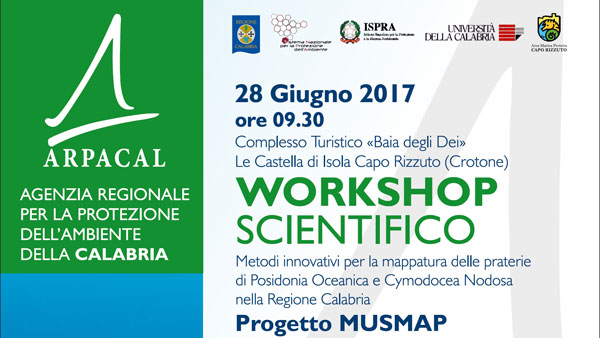 Arpacal, Biodiversità marina: Calabria si dota di legge per la tutela delle praterie di posidonia oceanica