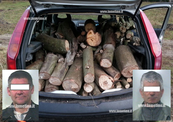 Lamezia: Sorpresi a tagliare alberi di pino, arrestati     