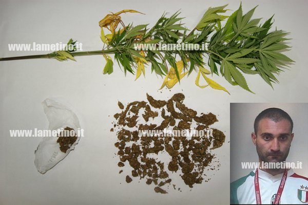 Calabria: Deteneva marijuana illegalmente, arrestato a Borgia