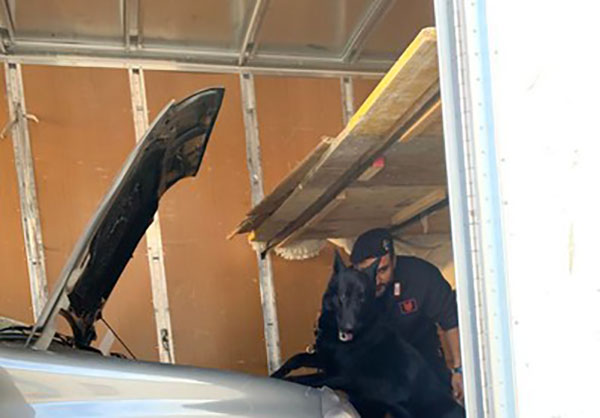 Cocaina su autocarro, arrestato 57enne nel crotonese