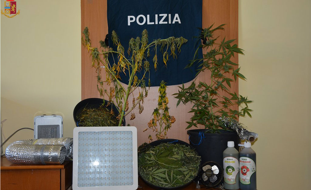 Coltivava canapa indiana in casa, arrestato 25enne a Vibo
