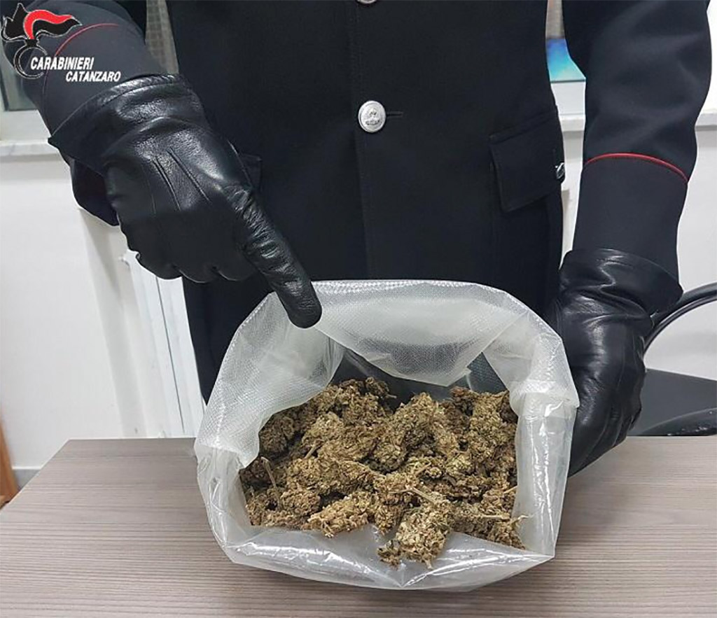  Arrestato 37enne per detenzione di marijuana a Chiaravalle Centrale