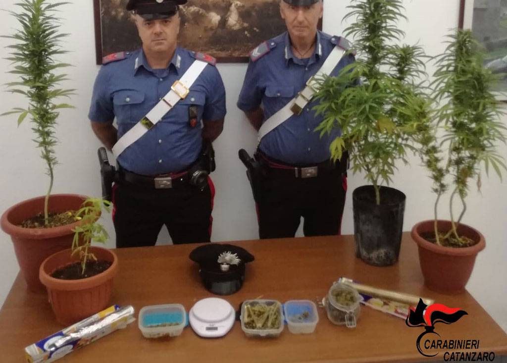 Pianta marijuana sul balcone, arrestato a Catanzaro