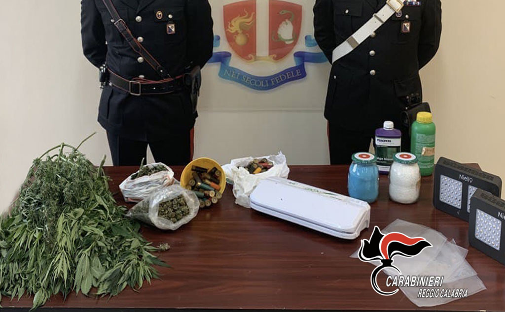 Laboratorio per produrre e vendere marijuana in casa, arrestato 25enne a Gioiosa Ionica
