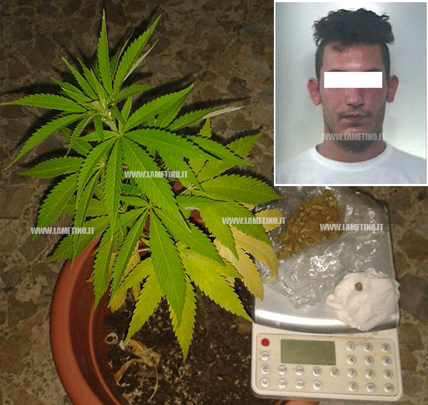 Arrestato 25enne per detenzione marijuana su lungomare Falerna