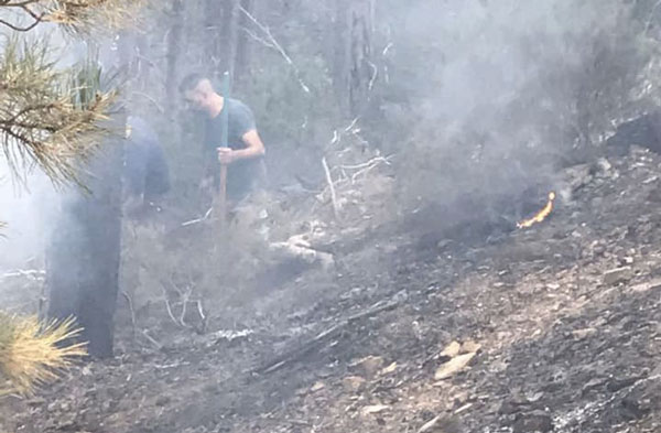 Di nuovo in fiamme boschi in Aspromonte, a rischio faggete patrimonio Unesco