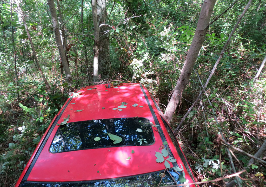 Auto cade in dirupo, salvate mamma e figlia da carabinieri a Carlopoli