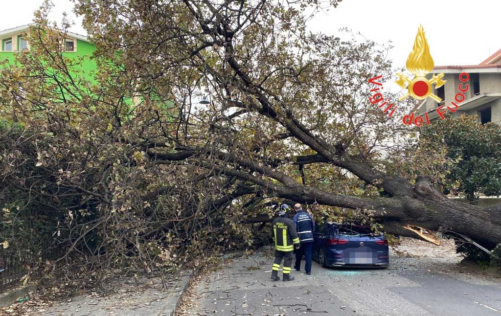 Grosso albero cade su auto in transito, ferito giovane a Rende