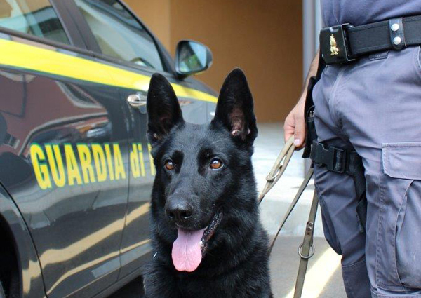Lamezia, arrestato “corriere” della droga e sequestrati 300 grammi di cocaina
