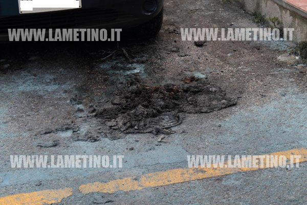 auto_in_fiamme_14_marzo_2014_lamezia.jpg