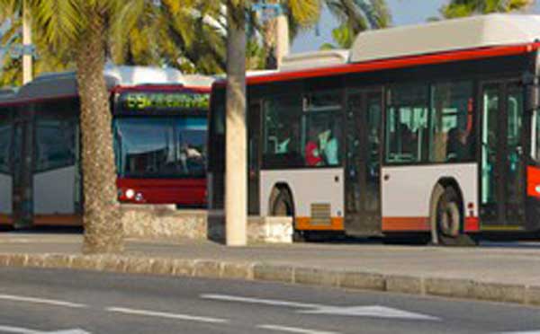 Sos autobus anche in Calabria, l'età media supera gli 11 anni 