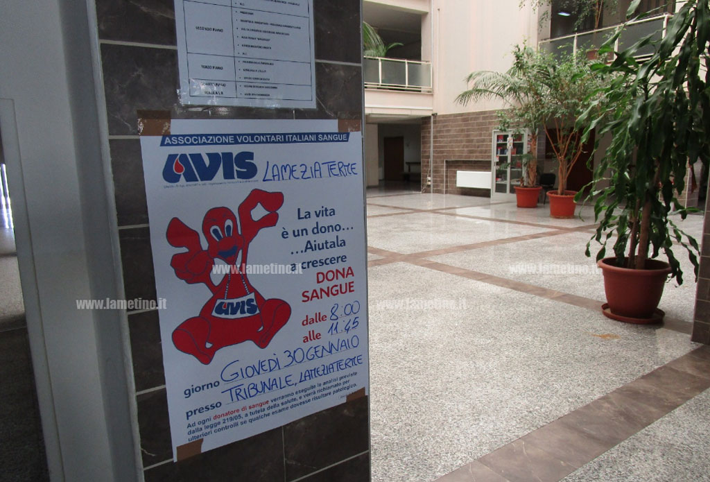 avis-2020-4.jpg