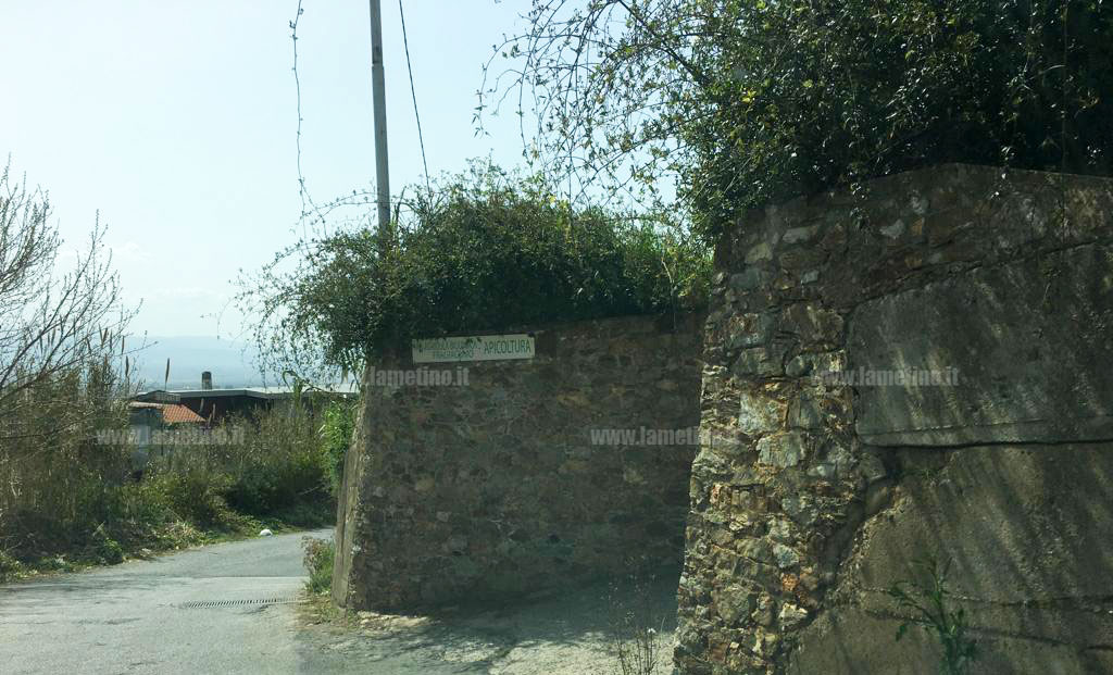 Bomba contro azienda agricola, la solidarietà del Pd Lamezia: "Non abbassare la guardia"