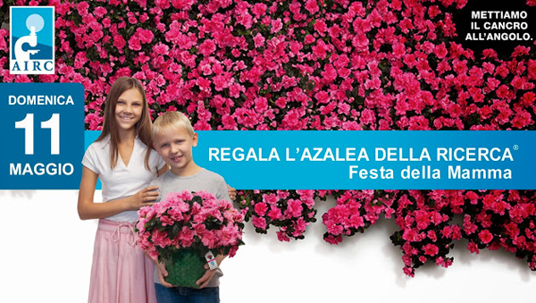 Calabria: Domenica ritorna l'iniziativa "Azalea per la ricerca"