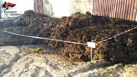 Gestione rifiuti, titolare azienda agricola denunciato a Luzzi