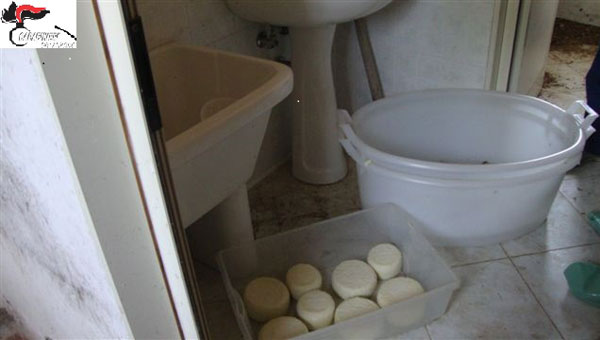 Carenze igieniche sanitarie in aziende del catanzarese, denunciate 2 persone e sequestrati 250 chili di formaggi