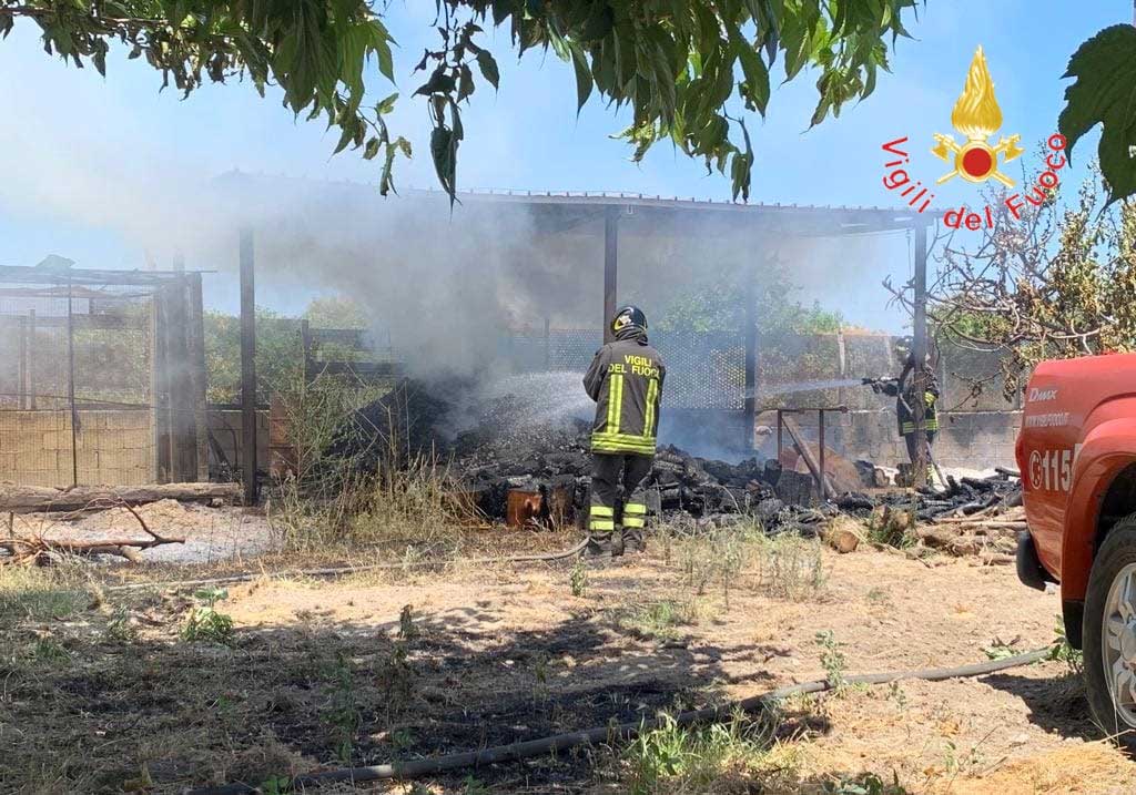 Anziano perde la vita in un incendio a Badolato: indagini