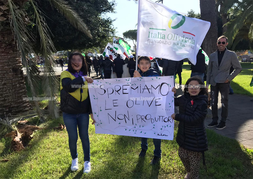 bambini-olive-2019.jpg