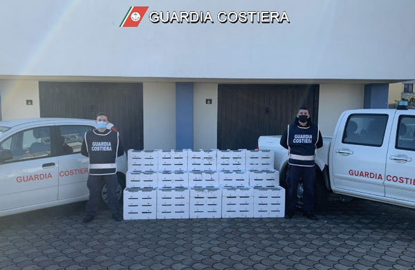 Sequestrati 350 chili di ‘bianchetto’ a Cassano allo Ionio