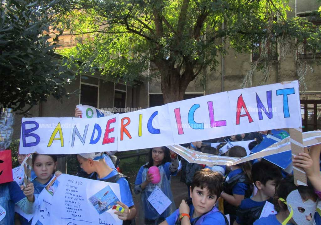 banda-8.jpg