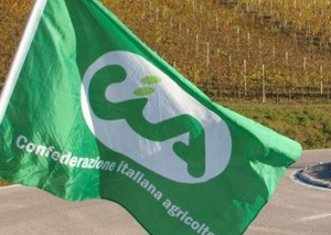 Nomina di Angela Robbe in Giunta, Cia Calabria: “Apprezzamento per nuovo assessore, sottoporremo proposte su politiche lavoro”