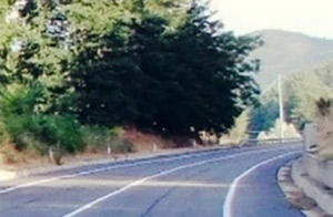 Strada Medio Savuto, assegnati lavori per completamento tra bivio Coraci e Soveria Mannelli nord
