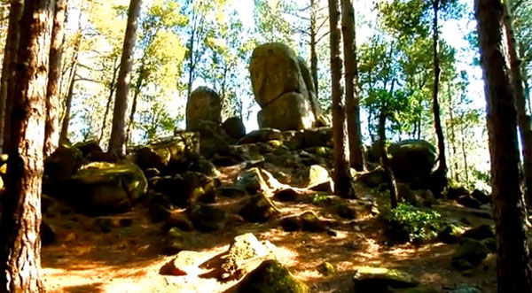 basciano-video-2.jpg