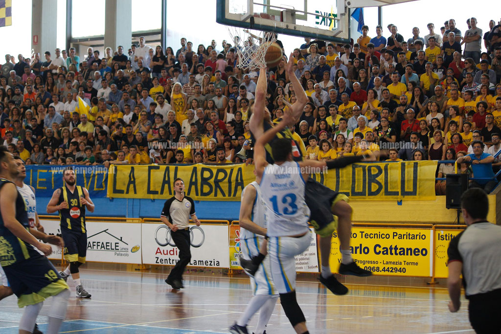 basket1-06052017-080333.jpg