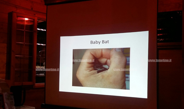 bat.jpg