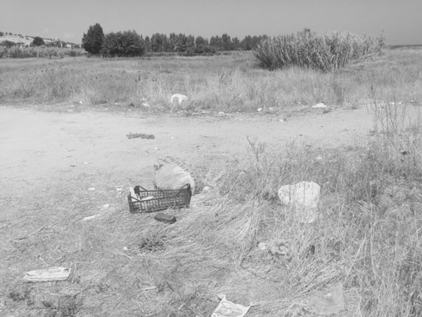 Lanzetta e Scarfò su distruzione e abbandono siti archeologici