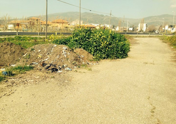 Lamezia: Teresa Benincasa annuncia interrogazione in consiglio su smaltimento rifiuti Anas