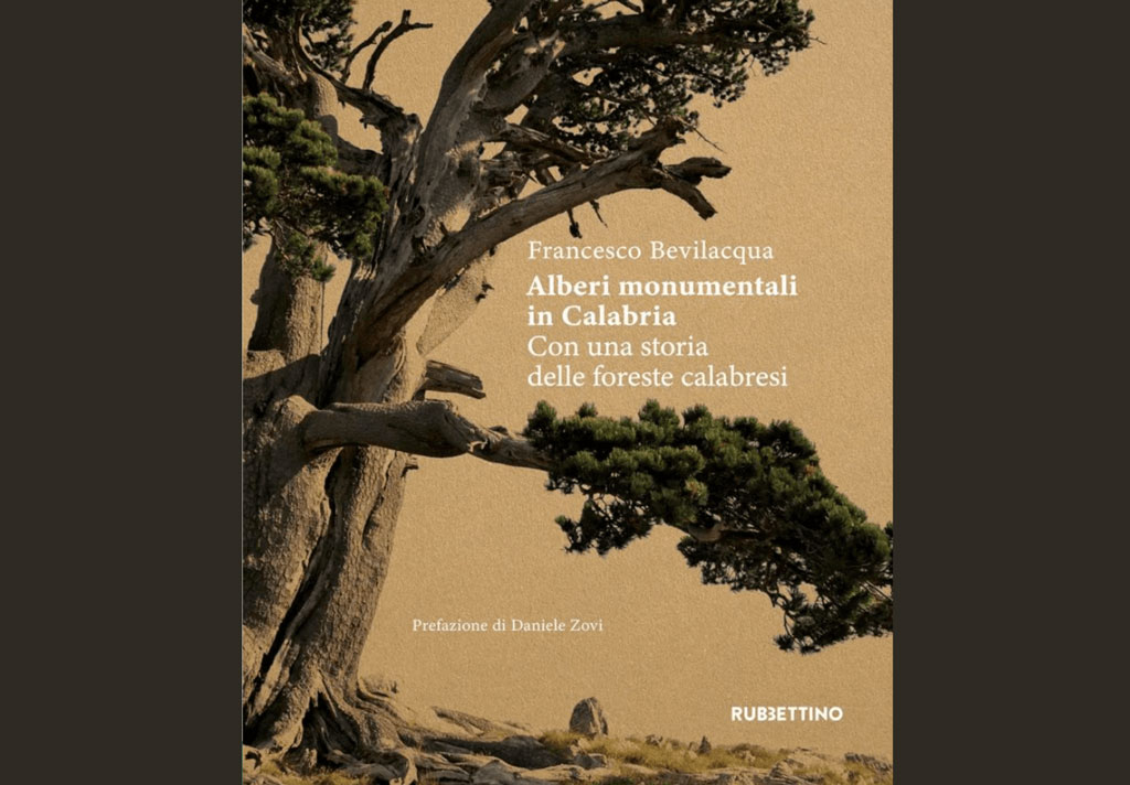 Lamezia, presentazione “Alberi monumentali in Calabria” di Francesco Bevilacqua il 28 aprile