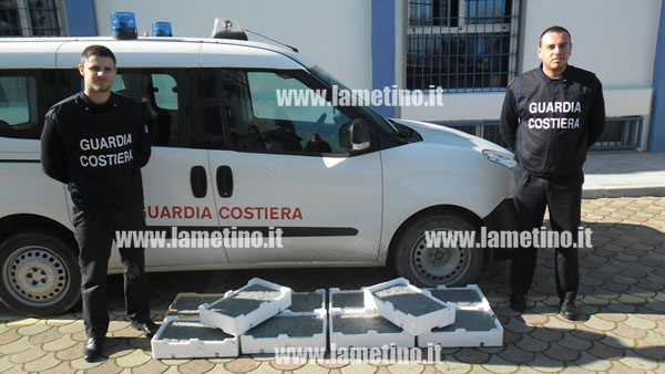 Calabria: Pesca illegale, novellame sequestrato donato in beneficenza