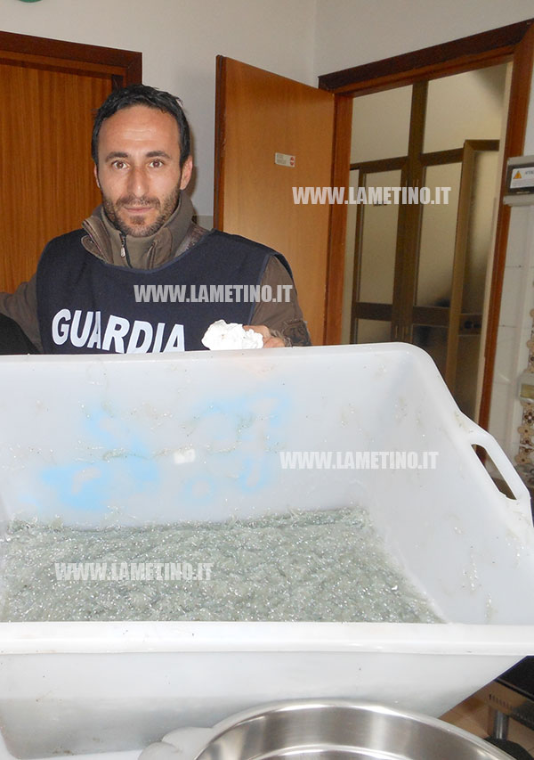 bianchetto2_sequesto2013.jpg