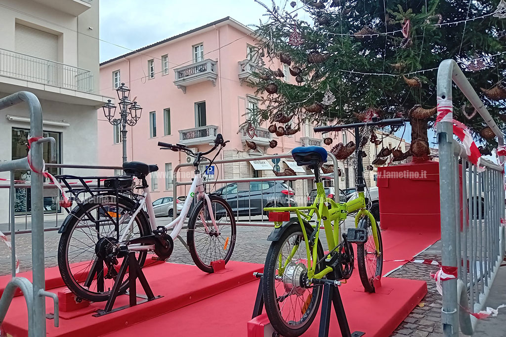 bici-alberod284782b9b88-1_f2405.jpg