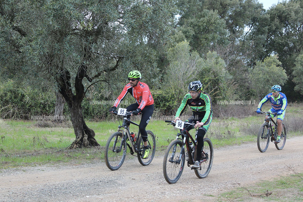 bici4.jpg