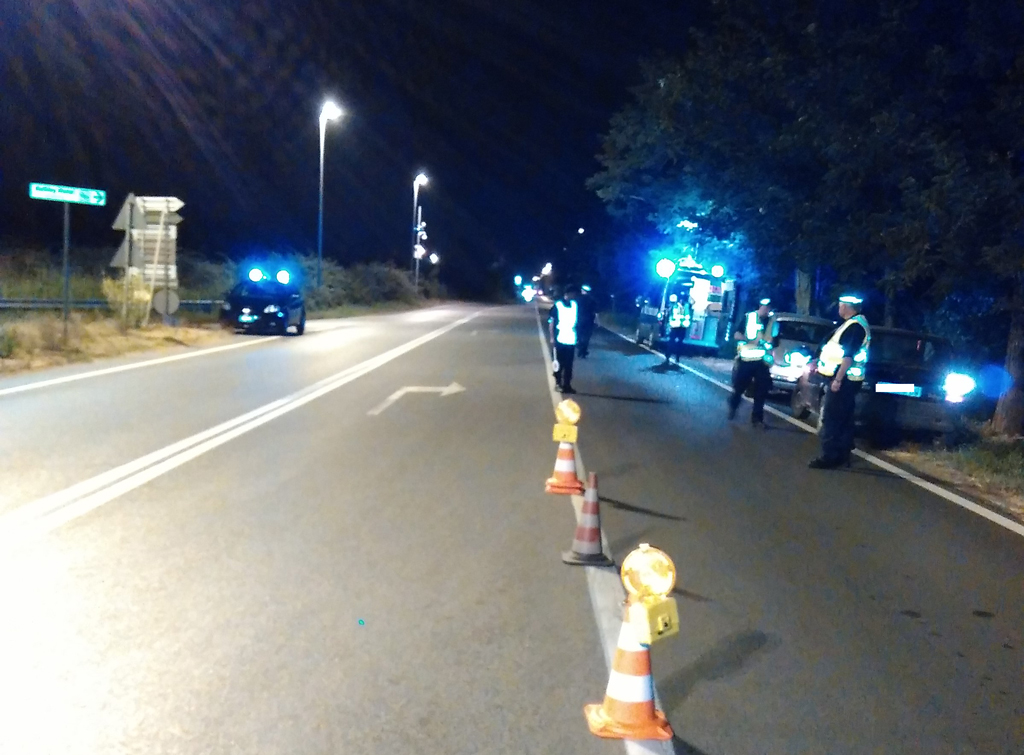 Lamezia, Polizia Locale: circa 7.500 violazioni, 9 arresti e 20 sequestri nei primi sette mesi