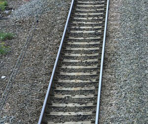 Guasto su linea elettrica vicino Roma, 400 passeggeri fermi per ore su treno partito da Reggio