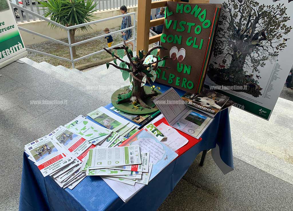 bio-cc-2019-lamezia4.jpg