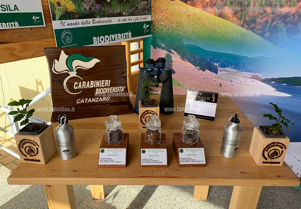 biodiversita-2019-cc.jpg