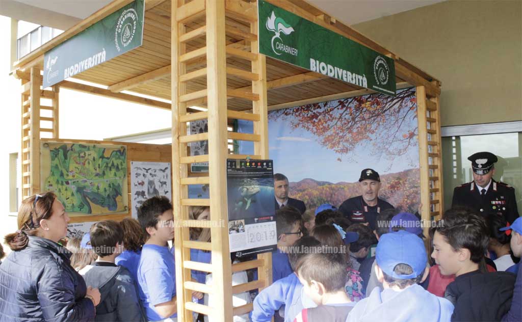biodiversita-201911.jpg