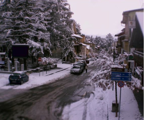 bneve-sila-26-nov-2013.jpg
