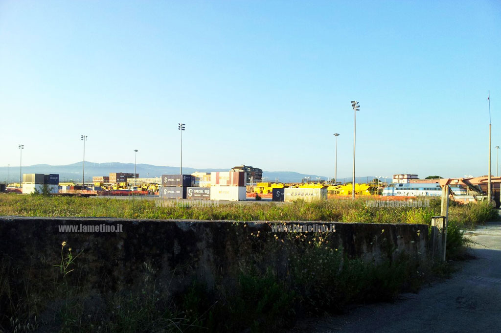bosco-amatello2.jpg